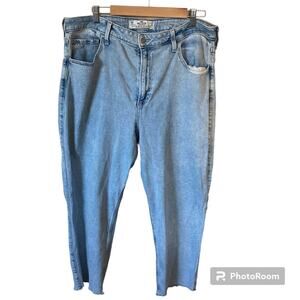 Hollister Curvy Ultra High Rise Vintage Straight Stretch Mom Jean Size 19S